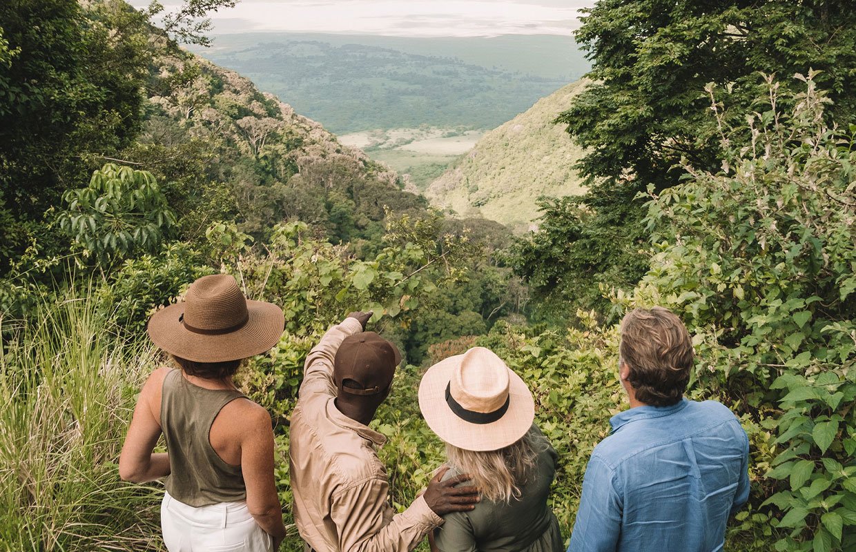 Guided Nature Walk Excursions - Discover the Beauty of Nature