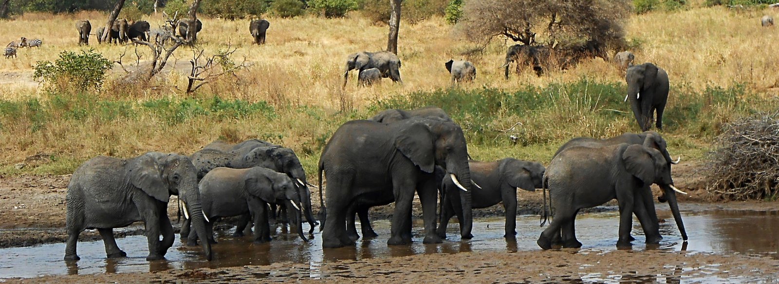 4 Day Serengeti And Ngorongoro Gateaway