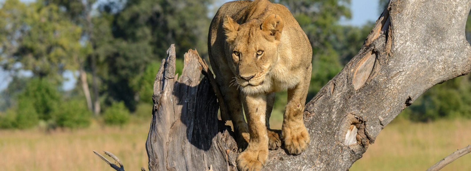 5 Days Northern Safari