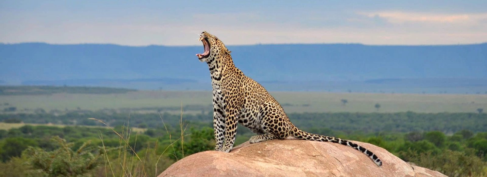 6 Days Of Unbeaten Adventure