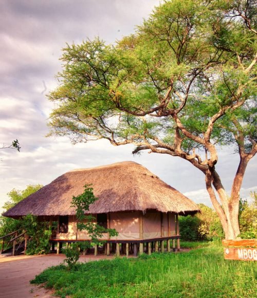 Mbali Mbali Tarangire River Camp