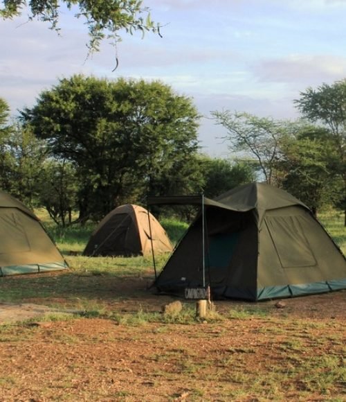 Nyani Campsite