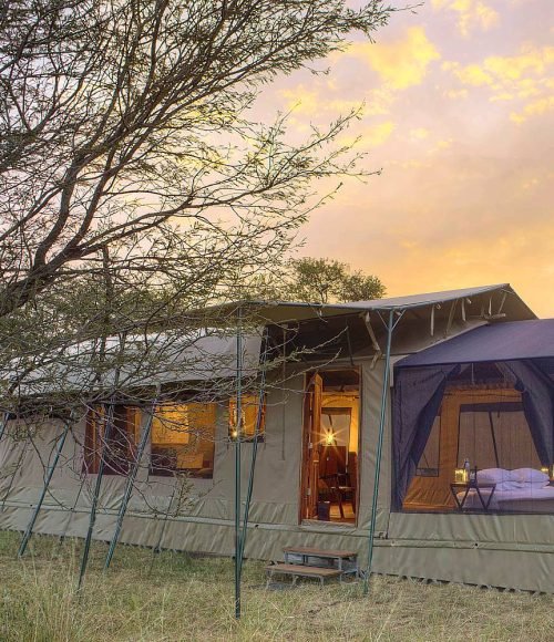 Olakira Migration Camp- Asilia