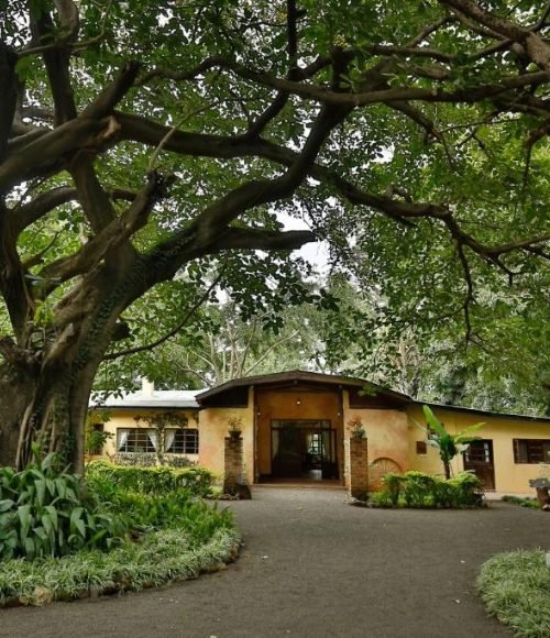 Rivertrees Country Inn