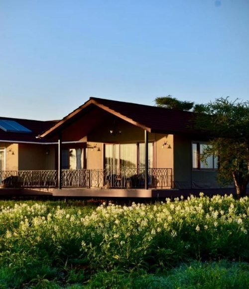 Serengeti Sametu Camp