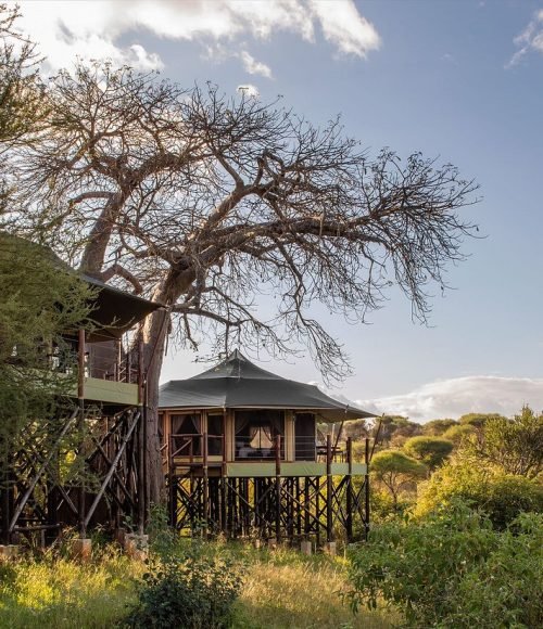 Treetop lodge Wellworth