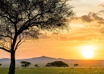 best-time-to-visit-tanzania