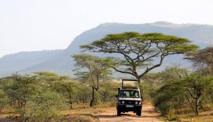 game-drives-in-tanzania2