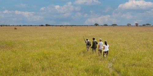 guided-nature-walks-banner