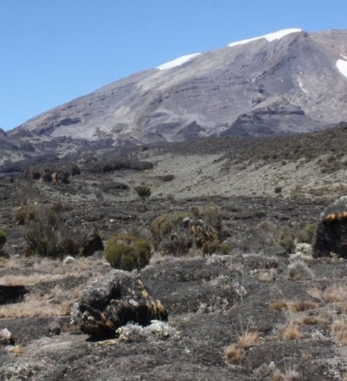 kilimanjaro-day-hike-banner