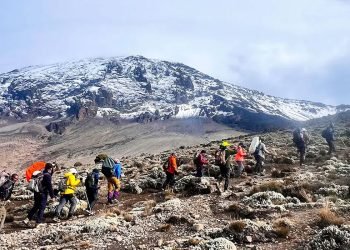 kilimanjaro-trail-conditions-banner