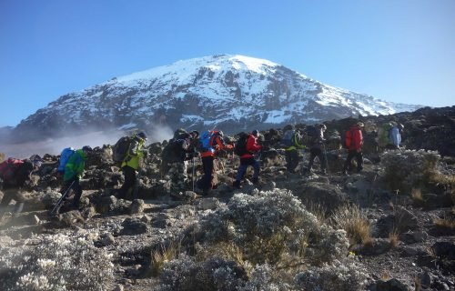 Mount kilimanjaro hiking tours best sale