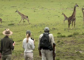 tanzania-safety-banner