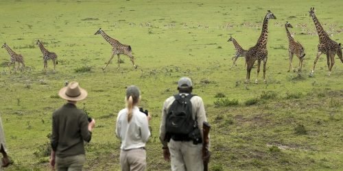 tanzania-safety-banner
